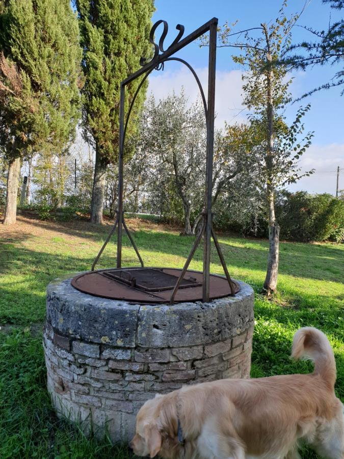 Podere Il Poggio Asciano Exterior photo